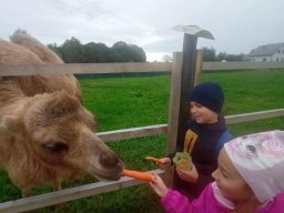 56466835212857208800225241905644588127769481n